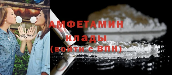 крисы Лагань