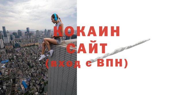 крисы Лагань