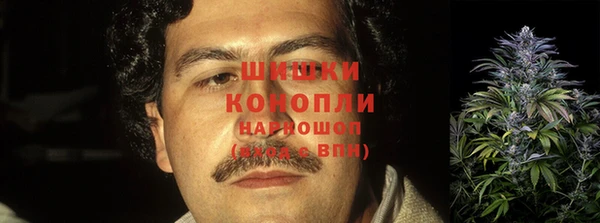 крисы Лагань