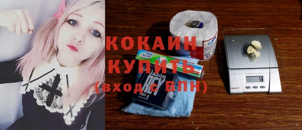 крисы Лагань