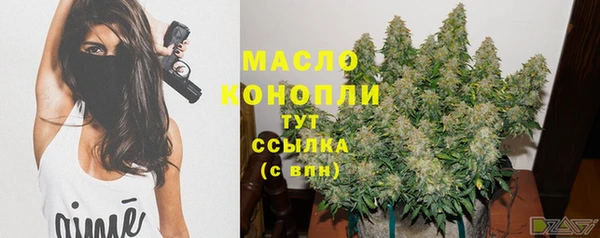 крисы Лагань