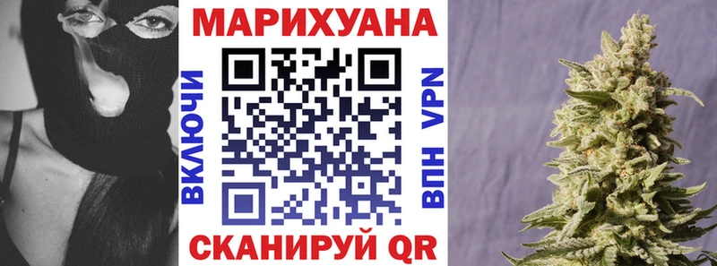 Бошки Шишки план  Чулым 